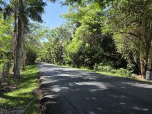 Terreno de 3.36 cuerdas en Franquez Morovis Vista4