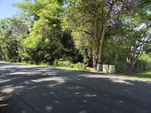 Terreno de 3.36 cuerdas en Franquez Morovis Vista3