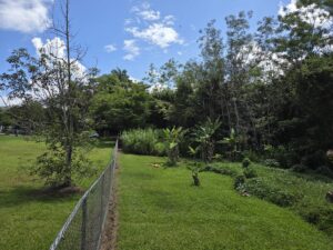 Terreno de 3.36 cuerdas en Franquez Morovis Vista1