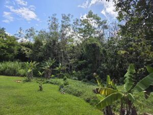 Terreno de 3.36 cuerdas en Franquez Morovis Vista5